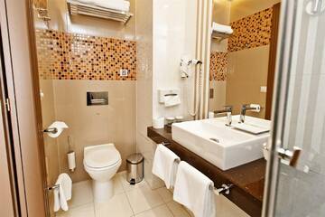 Фото номера Стандарт Гостиница Best Western Plus СПАССКАЯ г. Тюмень 5